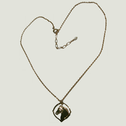 14 kt.y.g.plated horsehead inside pointed circle full necklace view
