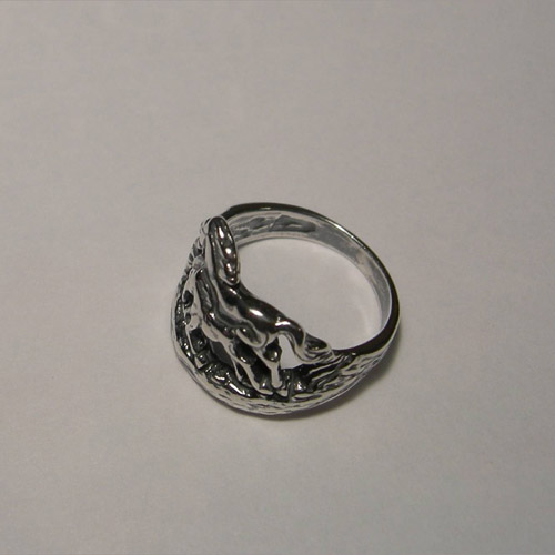 side view of galloping mare and foal ring