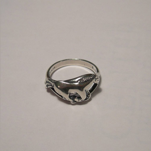 side of galloping horse ring
