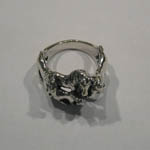 side of horse herd ring