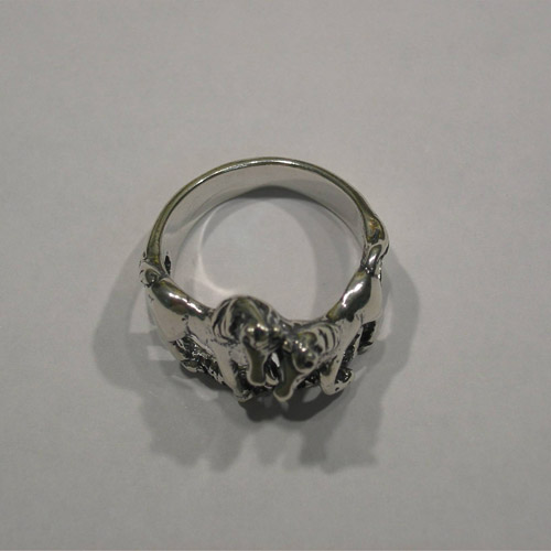 Side of two horses ring