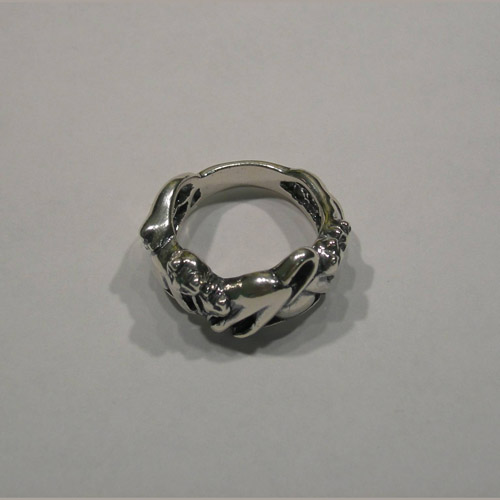 Top angle of five cats ring