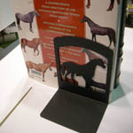 Wrought Iron Horse bookends holding books