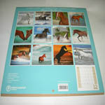 Horses and the Sea 2012 Calendar inside pictures