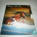 Horses and the Sea 2012 Calendar