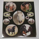 pictures of stickers in book