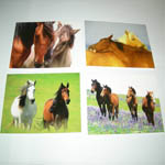 Four card designs in box