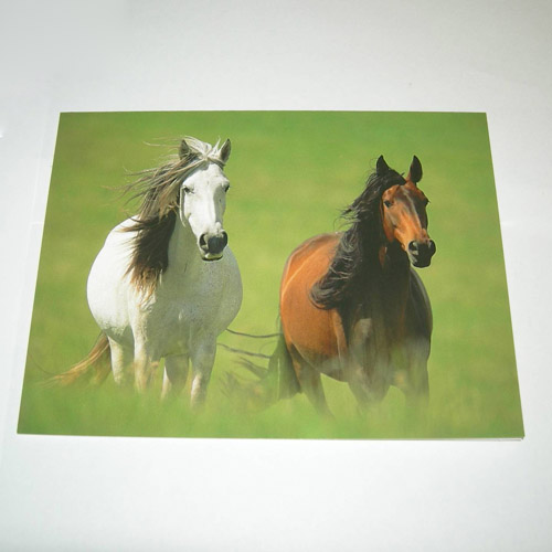 Wild and Free Mares card